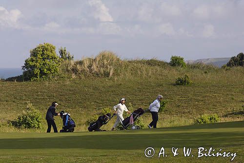 pole golfowe na wyspie Jersey, Channel Islands, Anglia, Wyspy Normandzkie, Kanał La Manche