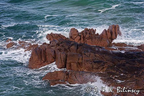 skały w La Corbiere Point, wyspa Jersey, Channel Islands, Anglia, Wyspy Normandzkie, Kanał La Manche