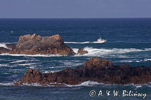 skały w La Corbiere Point, wyspa Jersey, Channel Islands, Anglia, Wyspy Normandzkie, Kanał La Manche