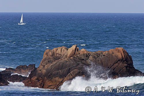 skały w La Corbiere Point, wyspa Jersey, Channel Islands, Anglia, Wyspy Normandzkie, Kanał La Manche