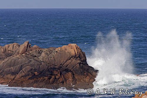 skały w La Corbiere Point, wyspa Jersey, Channel Islands, Anglia, Wyspy Normandzkie, Kanał La Manche