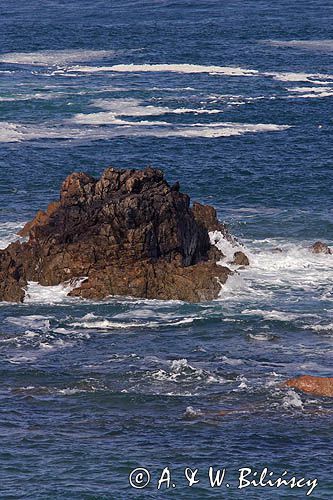 skały w La Corbiere Point, wyspa Jersey, Channel Islands, Anglia, Wyspy Normandzkie, Kanał La Manche