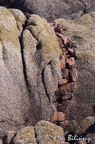 skały w La Corbiere Point, wyspa Jersey, Channel Islands, Anglia, Wyspy Normandzkie, Kanał La Manche