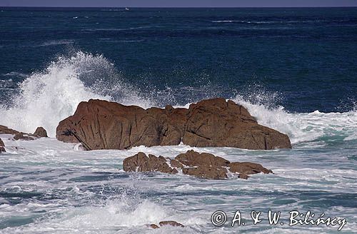 skały w La Corbiere Point, wyspa Jersey, Channel Islands, Anglia, Wyspy Normandzkie, Kanał La Manche