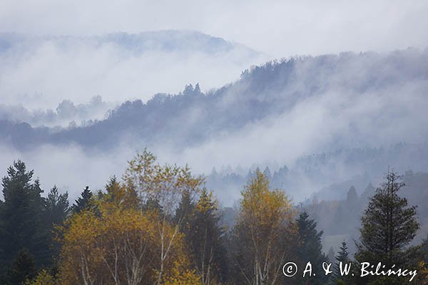 Mgły nad jesiennym lasem, Bieszczady