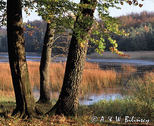 park krajobrazowy wysoczyzny elbląskiej