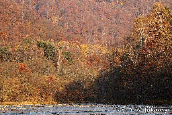 Jesień nad Sanemi, Park Krajobrazowy Doliny Sanu, Bieszczady