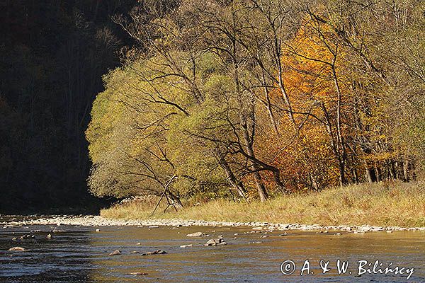 Jesień nad Sanemi, Park Krajobrazowy Doliny Sanu, Bieszczady