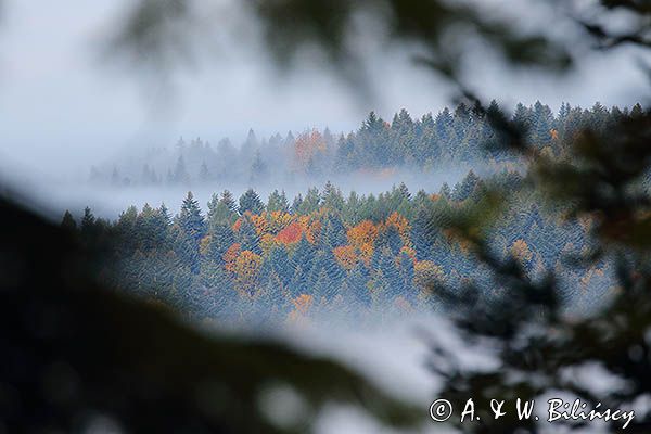 Jesień, pasmo żuków, Bieszczady, Góry Sanocko Turczańskie