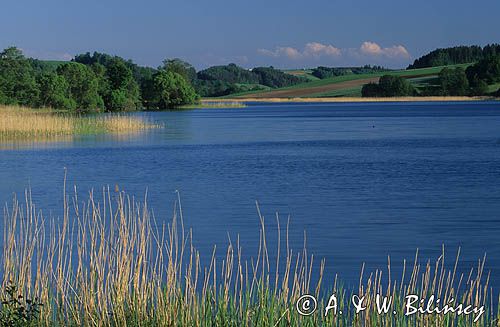 jezioro Brodno Małe - Kaszubski Park Krajobrazowy