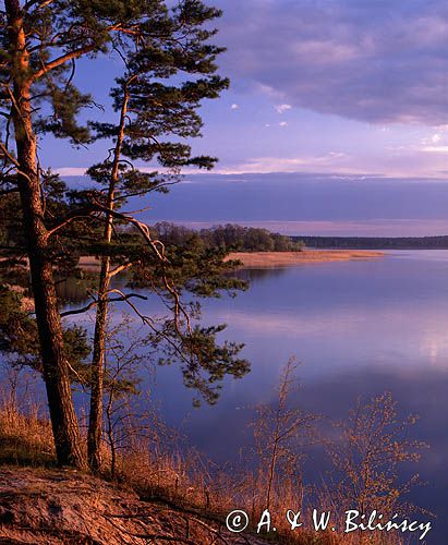 jezioro Charzykowskie