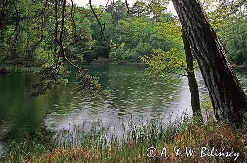 Jez. Gardno, Woliński Park Narodowy, Wyspa Wolin