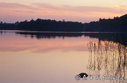 jezioro Hańcza - Suwalski Park Krajobrazowy