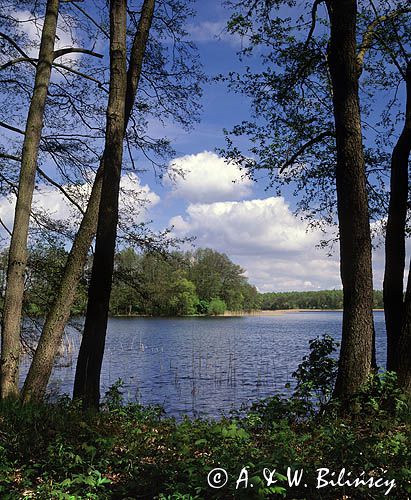 jezioro Ińsko, Iński Park Krajobrazowy