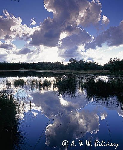 chmury, jezioro, Bielawskie Błota rezerwat