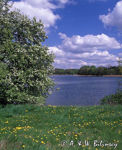 jezioro Ińsko Iński Park Krajobrazowy, Pomorze Zachodnie