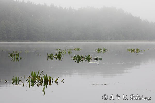 Jezioro Tejsowo, Mazury