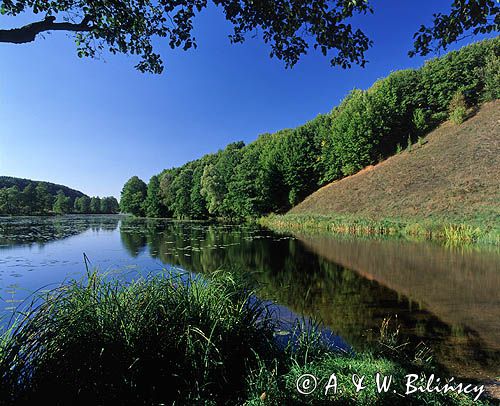 jezioro Turtul Suwalski Park Krajobrazowy