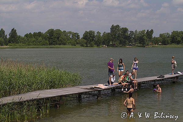 Jezioro Krasne, Pojezierze Łęczyńsko Włodawskie