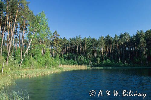 Jezioro Kwisno na Kaszubach