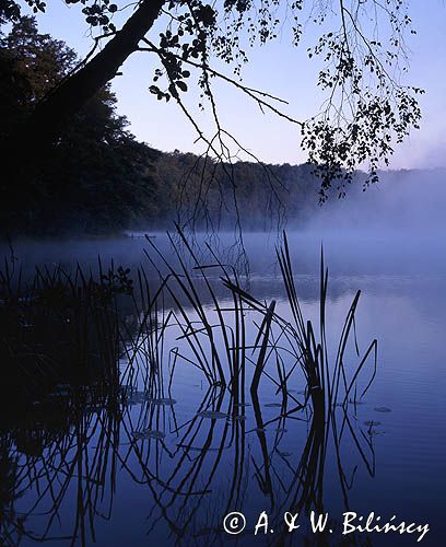 jezioro Łagowskie, Łagowski Park Krajobrazowy