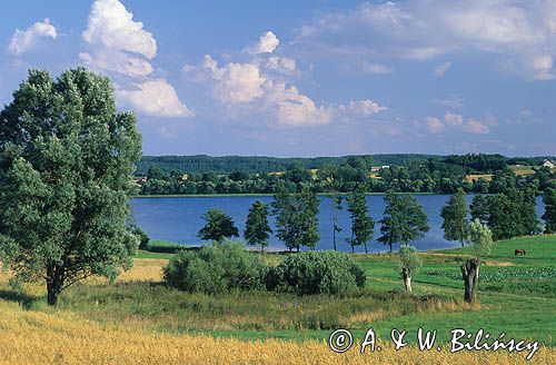 jezioro Łapalickie Kaszubski Park Krajobrazowy