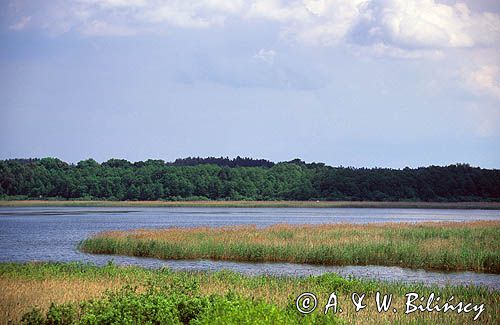 Jezioro Łuknajno, rezerwat przyrody, Mazury