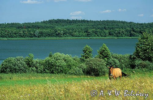 jezioro Małszewskie, Mazury
