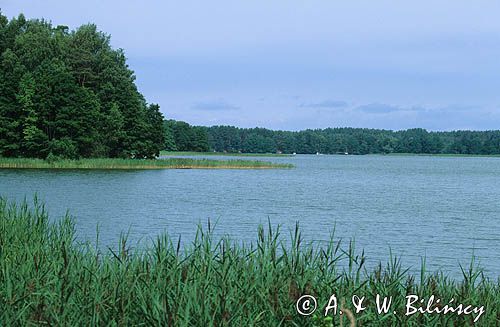 Jezioro Nidzkie, Mazury, szlak Wielkich Jezior Mazurskich, Polska