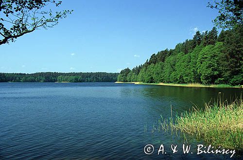 jezioro Rospuda koło Augustowa