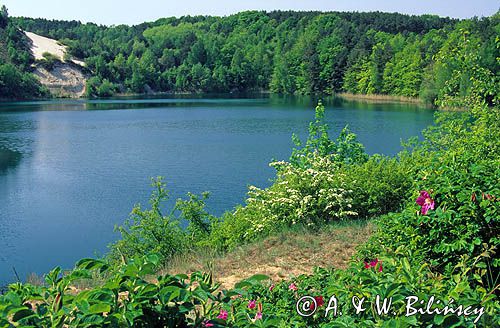 jeziorko Turkusowe, Woliński Park Narodowy, Wyspa Wolin