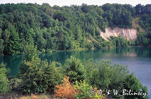 Jez. Turkusowe /Szmaragdowe/ Woliński Park Narodowy, Wyspa Wolin