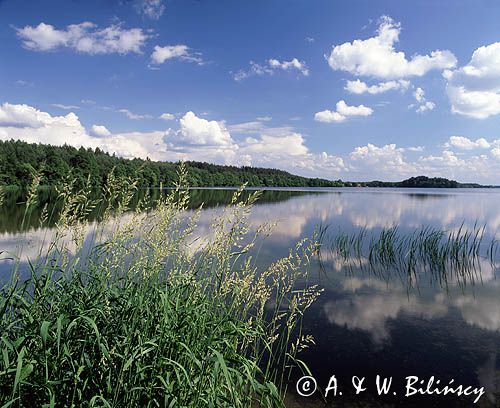 Jezioro Wdzydze, Wdzydzki Park Krajobrazowy