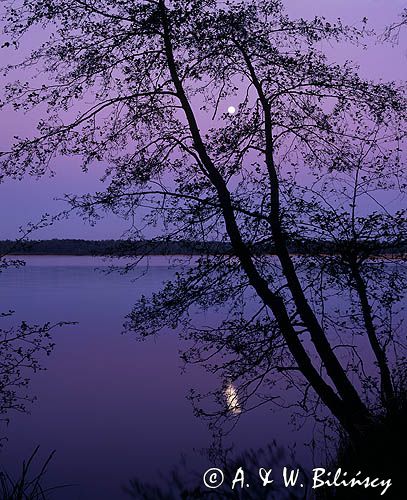 księżycowa noc nad jeziorem Wełtyńskim, Pobrzeże Szczecińskie, Równina Wełtyńska, Pomorze Zachodnie