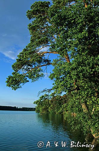 jezioro Wiartel, Mazury