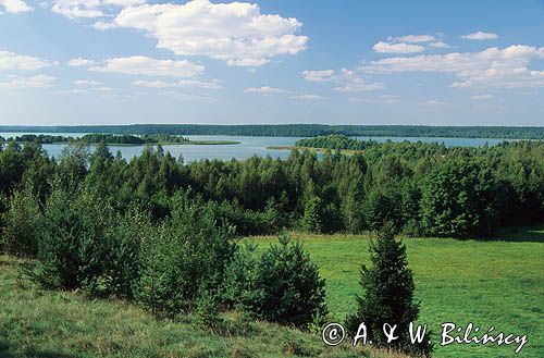 Jezioro Wigry Wigierski Park Narodowy