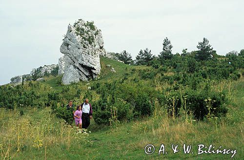 spacer, Jura Krakowsko-Częstochowska, Szlak Orlich Gniazd