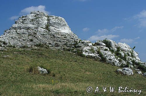 skały, Jura Krakowsko-Częstochowska, Szlak Orlich Gniazd, Olsztyn