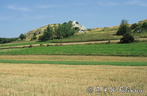 Jura Krakowsko-Częstochowska