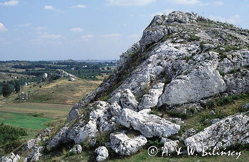 Jura Krakowsko - Częstochowska