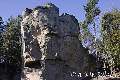 pomnik przyrody 'Kamień Leski', o którym Aleksander hr Fredro napisał: Kamień nad Liskiem, Glinne, Bieszczady