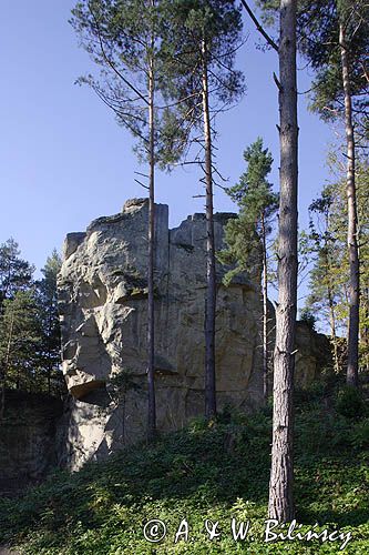 pomnik przyrody 'Kamień Leski', o którym Aleksander hr Fredro napisał: Kamień nad Liskiem, Glinne, Bieszczady