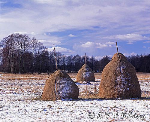 Kampinoski Park Narodowy