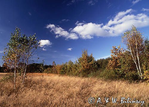 Kampinoski Park Narodowy, Kampinos, Mazowsze