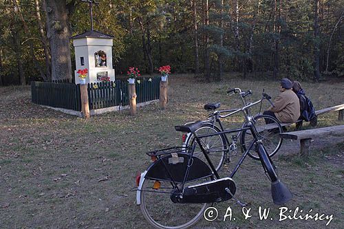 Kampinoski Park Narodowy, kapliczka przydrożna