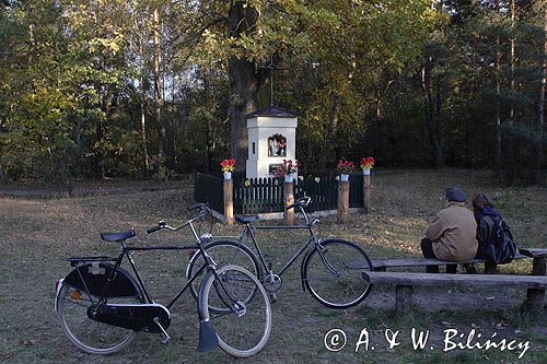 Kampinoski Park Narodowy, kapliczka przydrożna