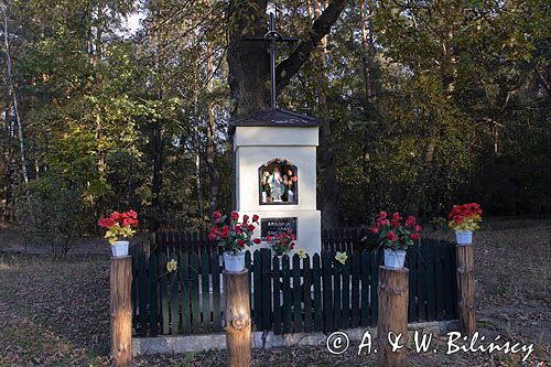 Kampinoski Park Narodowy, kapliczka przydrożna