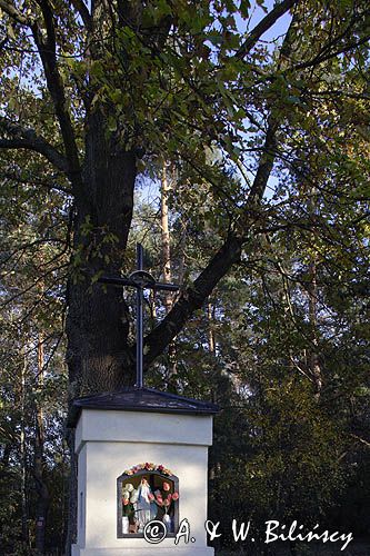 Kampinoski Park Narodowy, kapliczka przydrożna