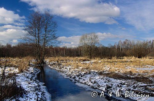 Kampinoski Park Narodowy