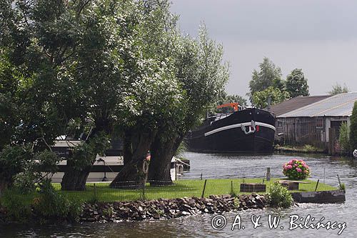 na kanale w drodze z Goudy do Amsterdamu, barka i wierzby na polderze, Holandia